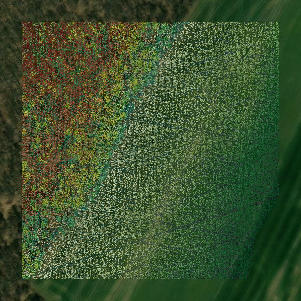 This image shows a LiDAR point cloud in Blair County created using GIS data in Equator.