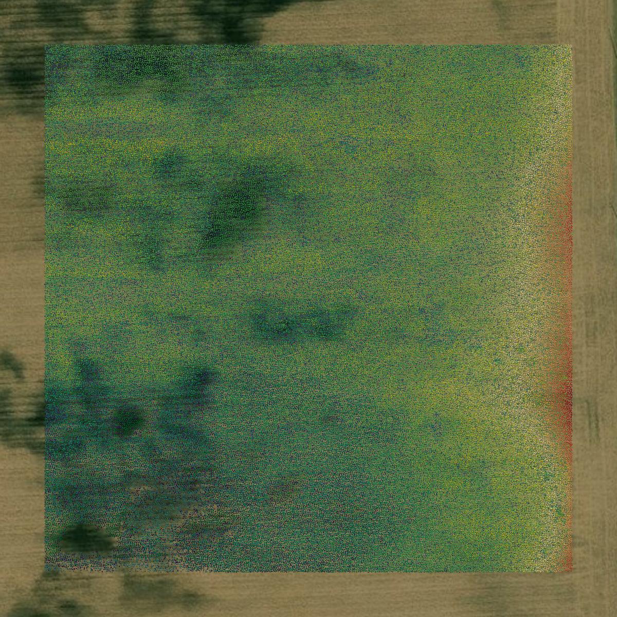 This image shows a LiDAR point cloud in Bradford County created using GIS data in Equator.