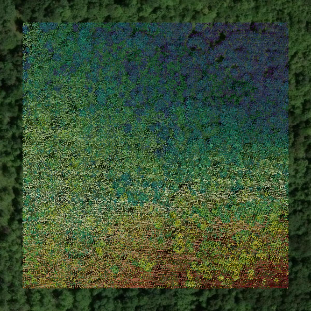 This image shows a LiDAR point cloud in Bradford County created using GIS data in Equator.