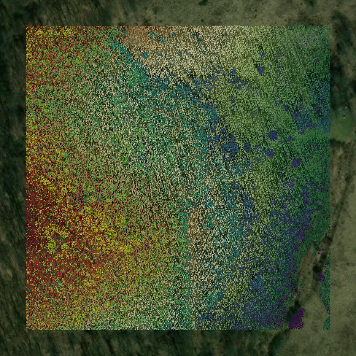 This image shows a LiDAR point cloud in Butler County created using GIS data in Equator.