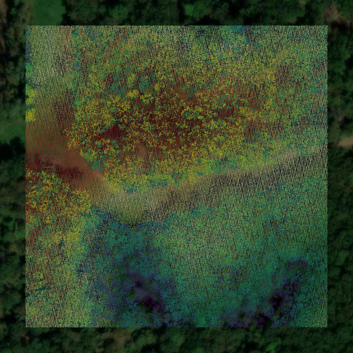 This image shows a LiDAR point cloud in Butler County created using GIS data in Equator.