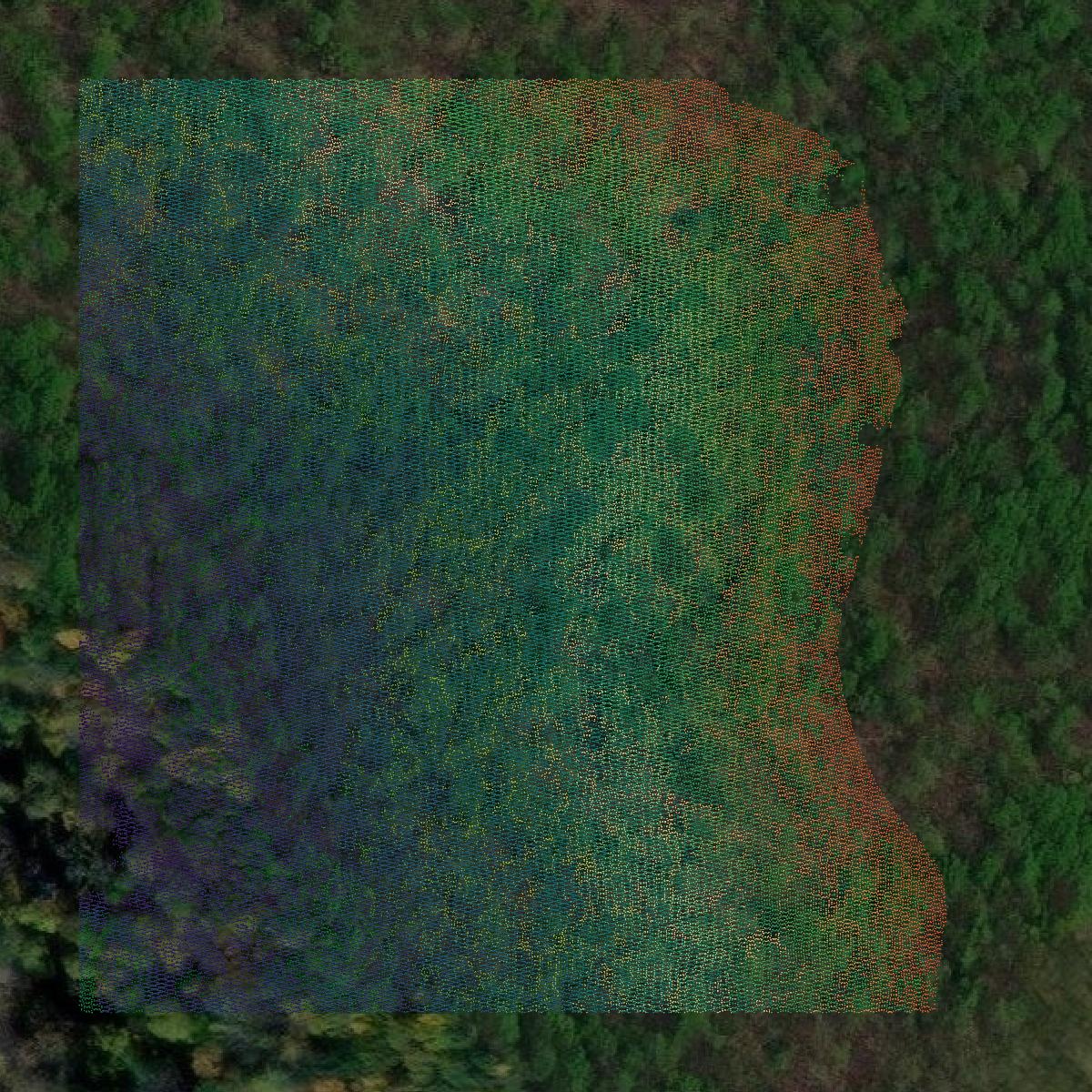 This image shows a LiDAR point cloud in Cameron County created using GIS data in Equator.