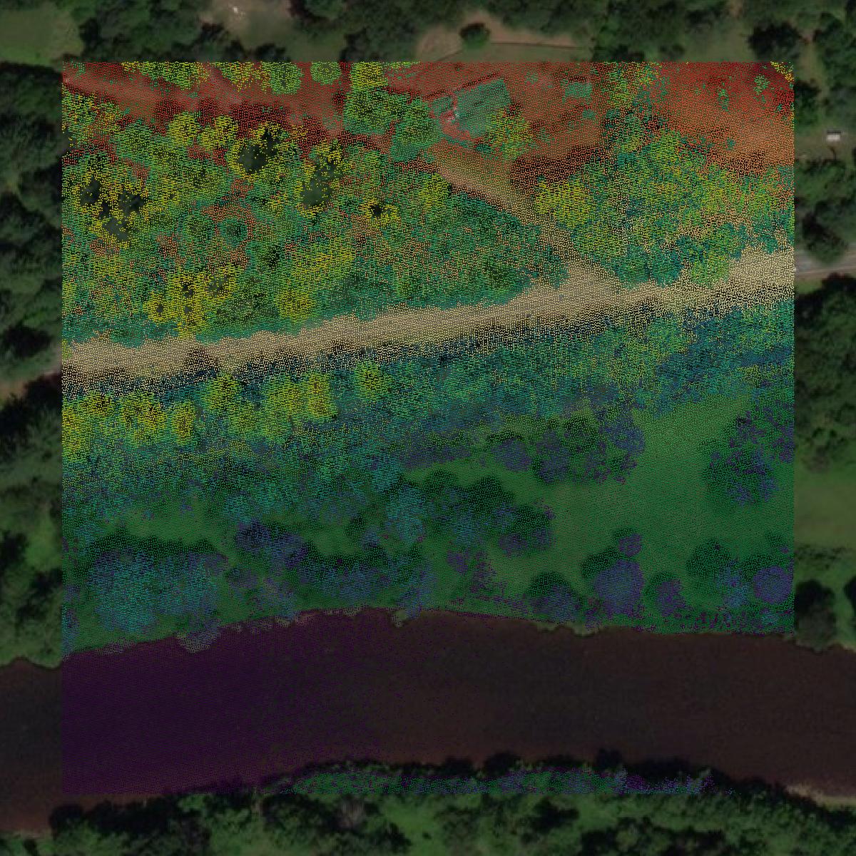 This image shows a LiDAR point cloud in Cameron County created using GIS data in Equator.