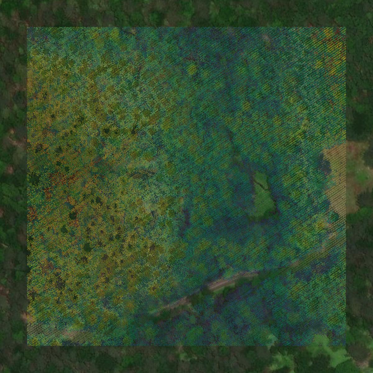 This image shows a LiDAR point cloud in Carbon County created using GIS data in Equator.