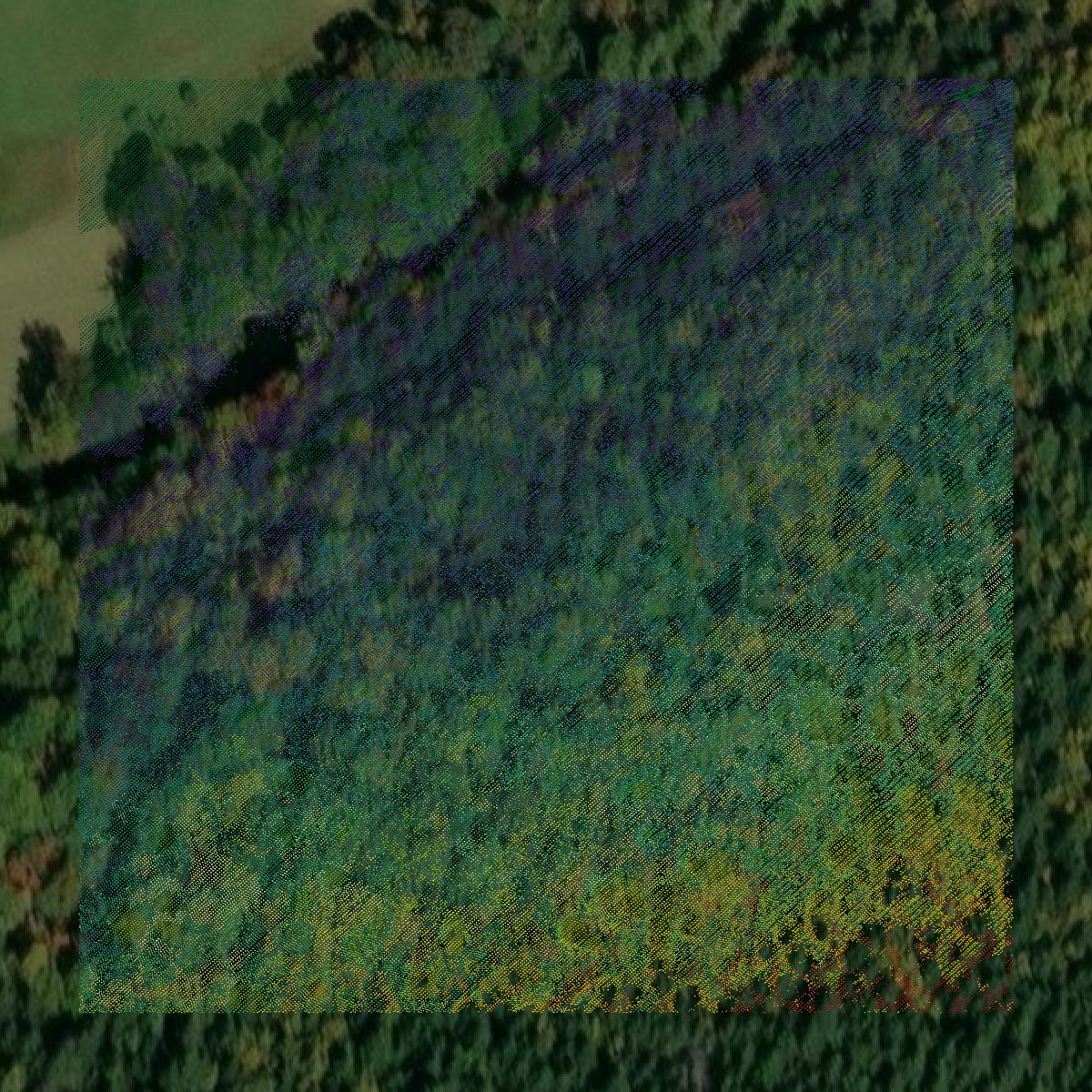 This image shows a LiDAR point cloud in Carbon County created using GIS data in Equator.