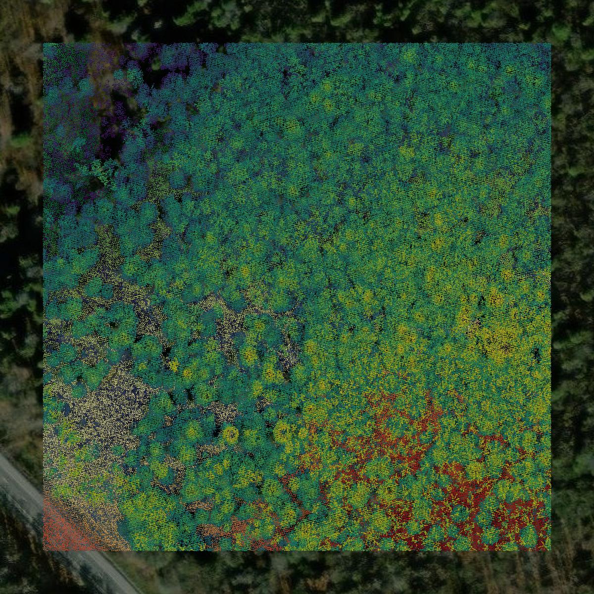 This image shows a LiDAR point cloud in Clearfield County created using GIS data in Equator.