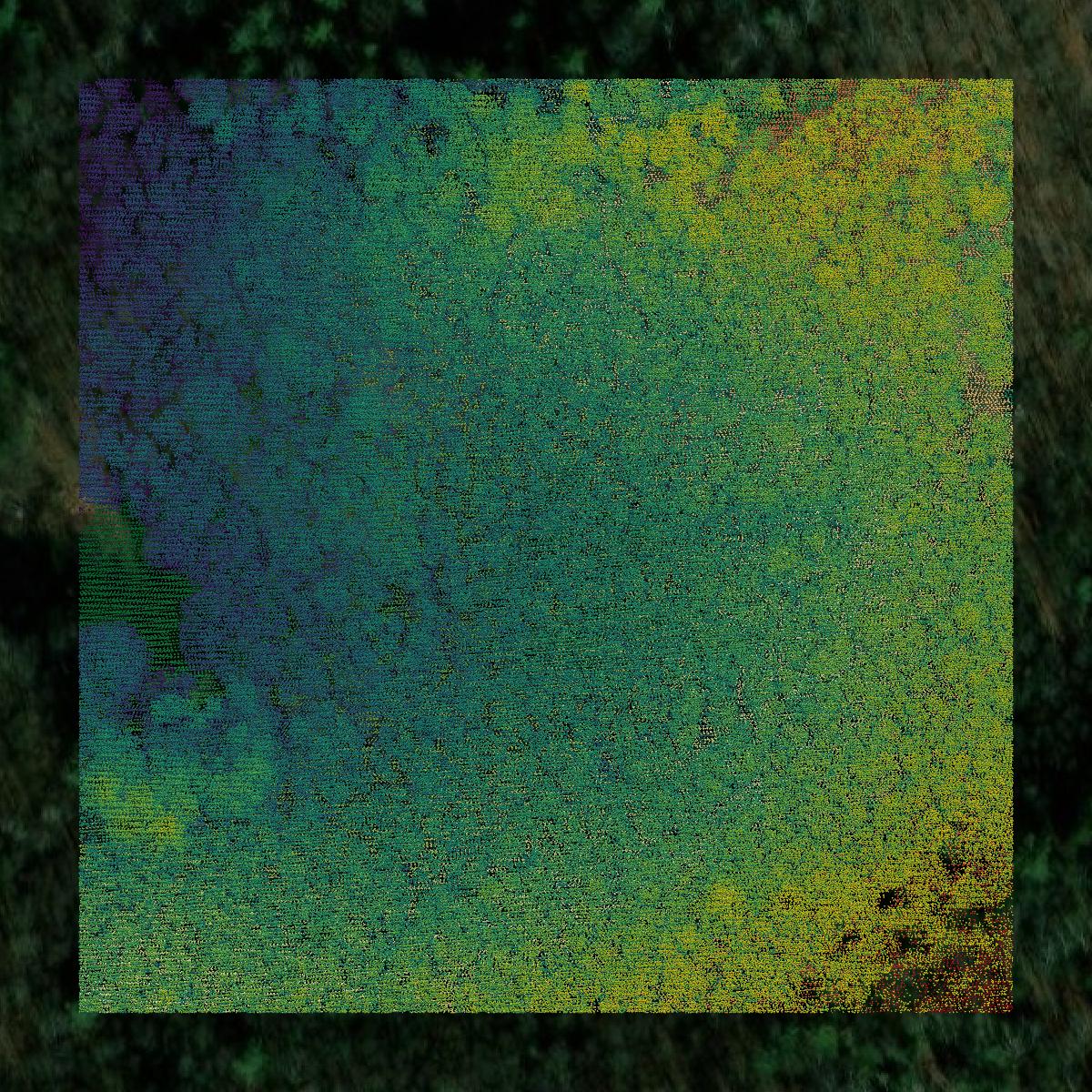 This image shows a LiDAR point cloud in Clinton County created using GIS data in Equator.