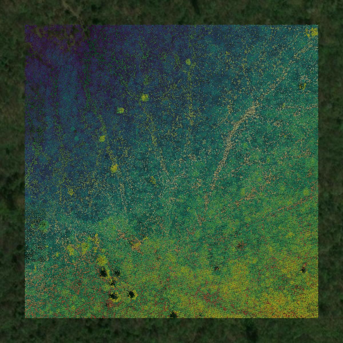 This image shows a LiDAR point cloud in Clinton County created using GIS data in Equator.