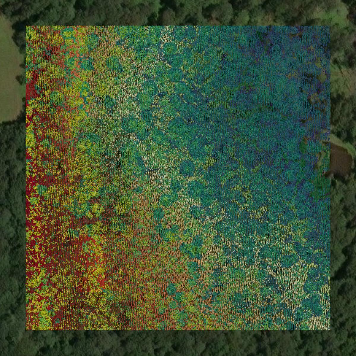 This image shows a LiDAR point cloud in Columbia County created using GIS data in Equator.