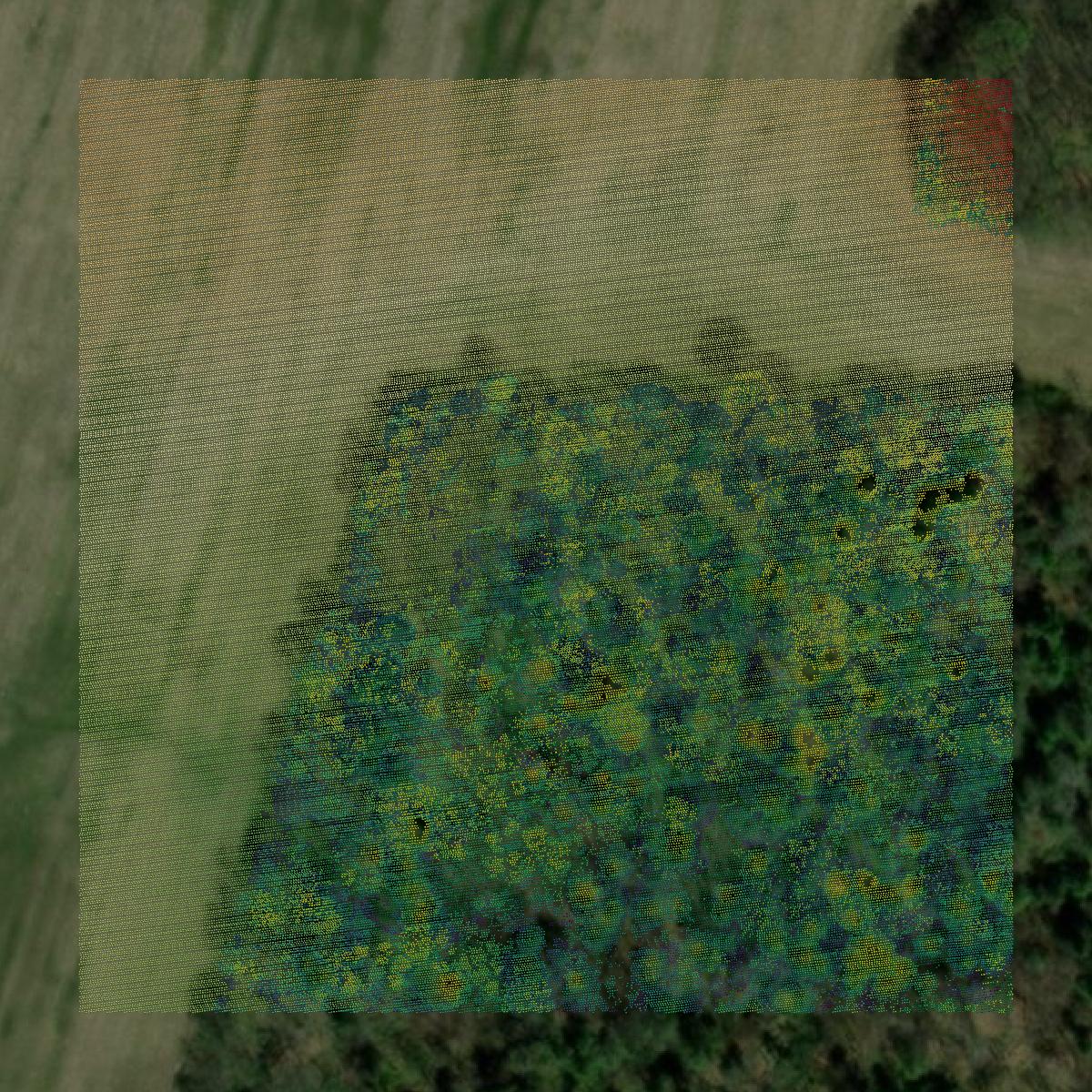 This image shows a LiDAR point cloud in Crawford County created using GIS data in Equator.