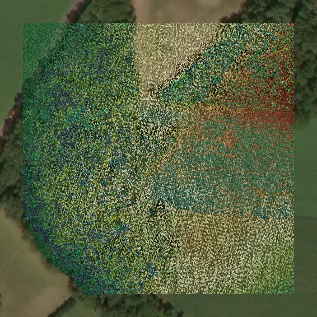 This image shows a LiDAR point cloud in Cumberland County created using GIS data in Equator.