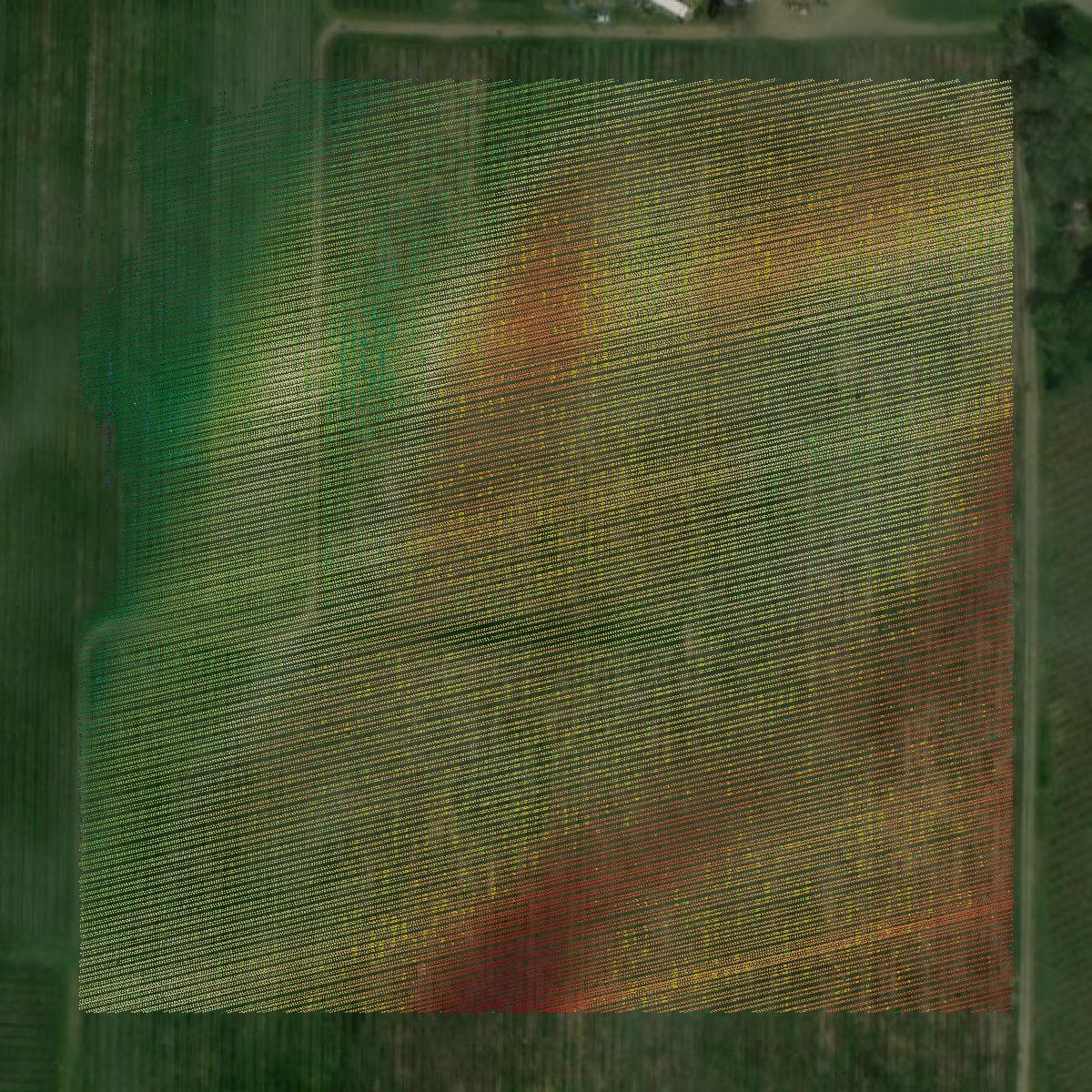 This image shows a LiDAR point cloud in Erie County created using GIS data in Equator.