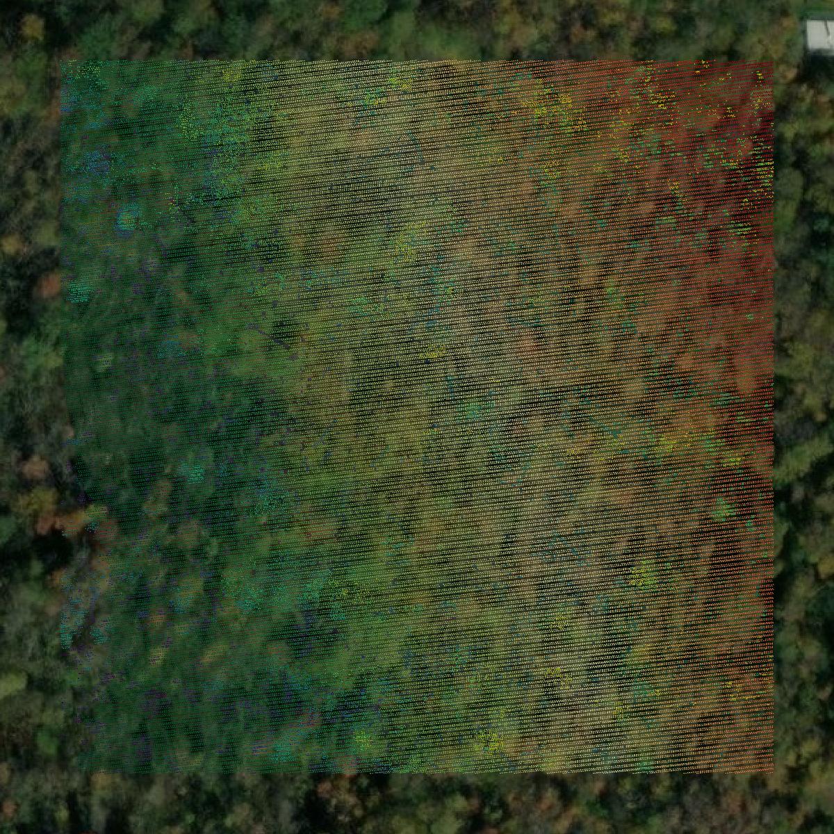 This image shows a LiDAR point cloud in Erie County created using GIS data in Equator.