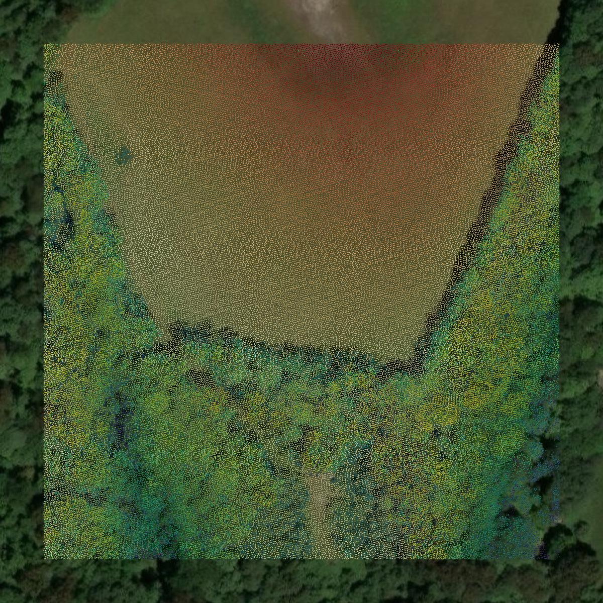 This image shows a LiDAR point cloud in Fayette County created using GIS data in Equator.