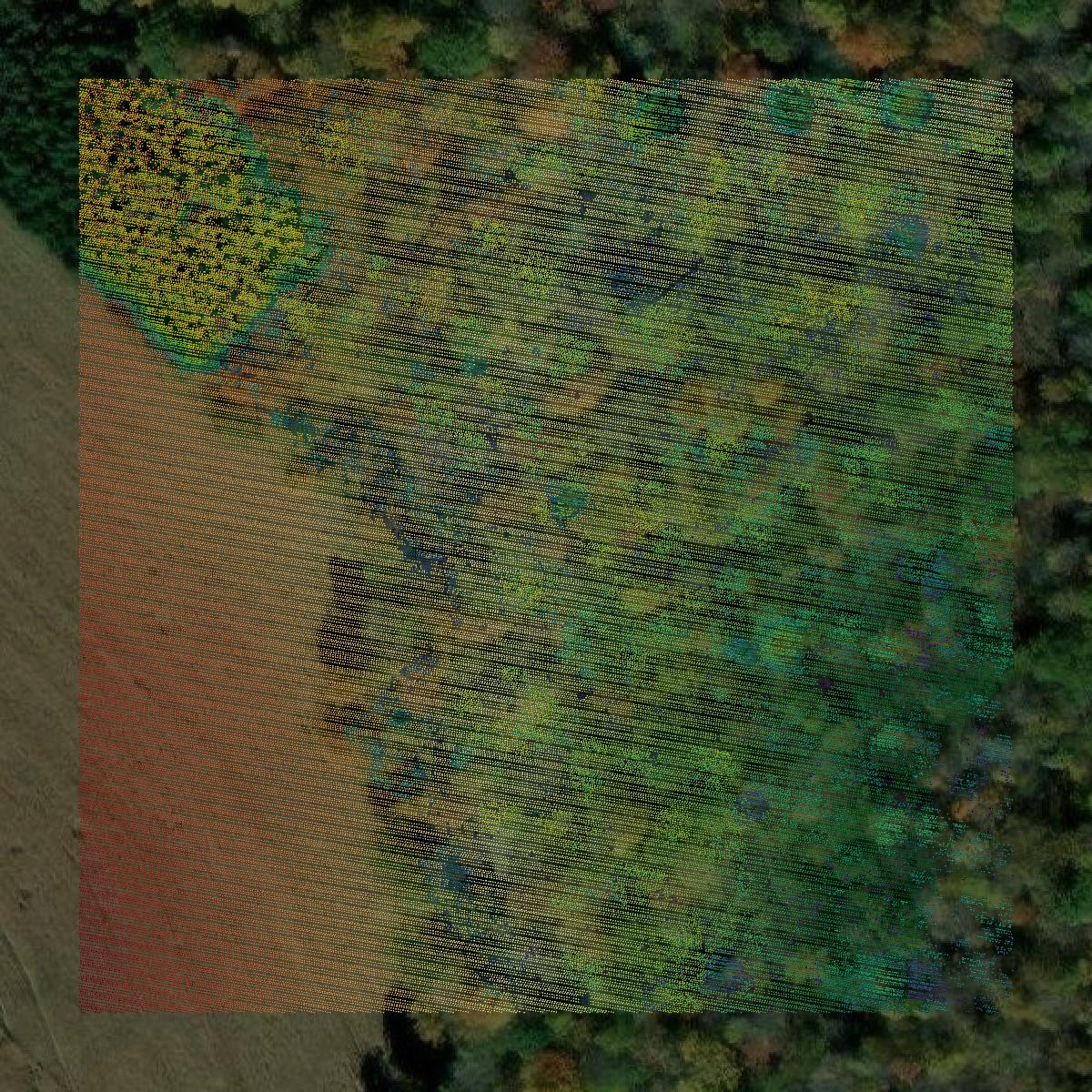 This image shows a LiDAR point cloud in Forest County created using GIS data in Equator.