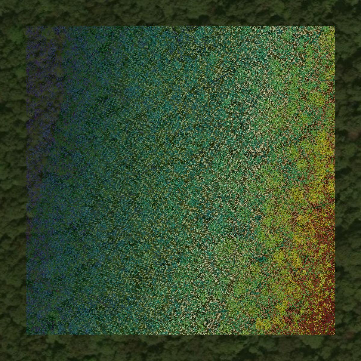 This image shows a LiDAR point cloud in Fulton County created using GIS data in Equator.