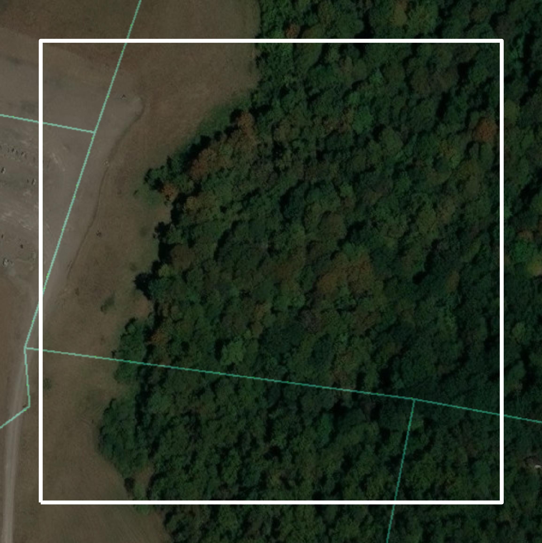 This image shows parcel and building data in Greene County created using GIS data in Equator.