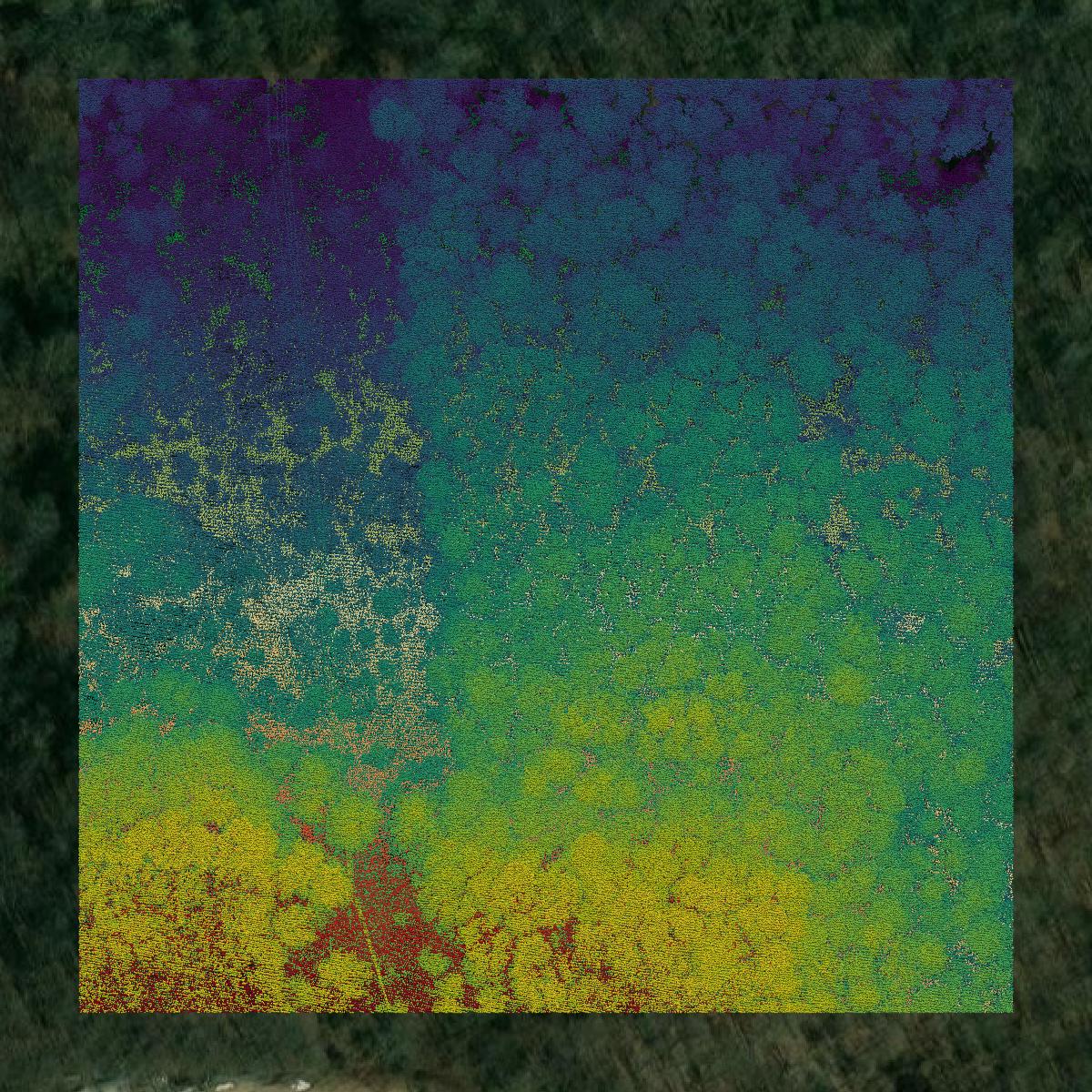 This image shows a LiDAR point cloud in Greene County created using GIS data in Equator.