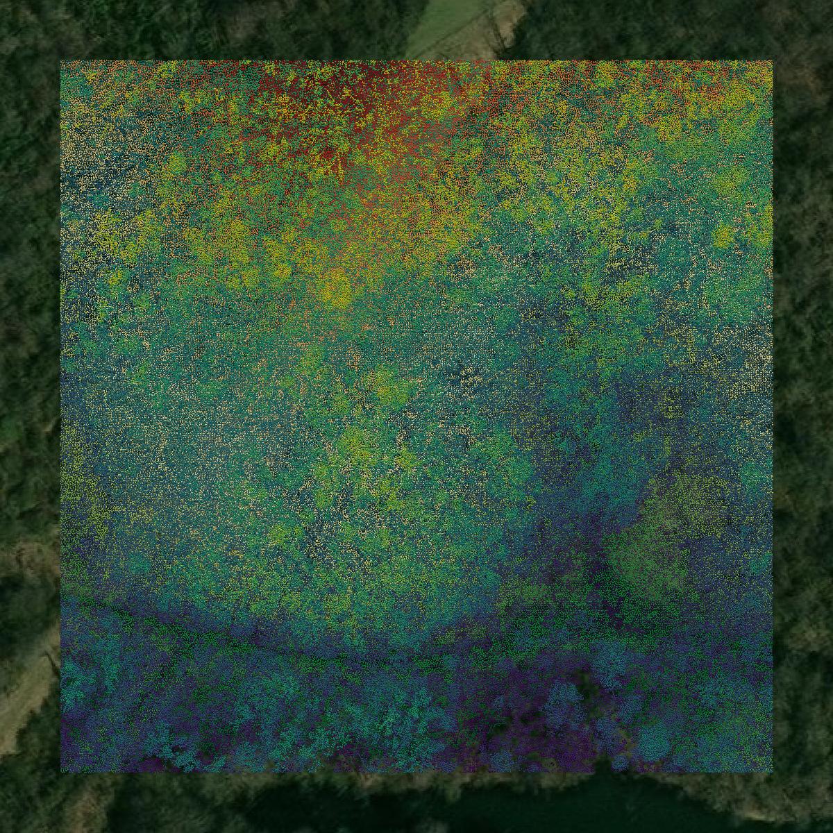 This image shows a LiDAR point cloud in Greene County created using GIS data in Equator.