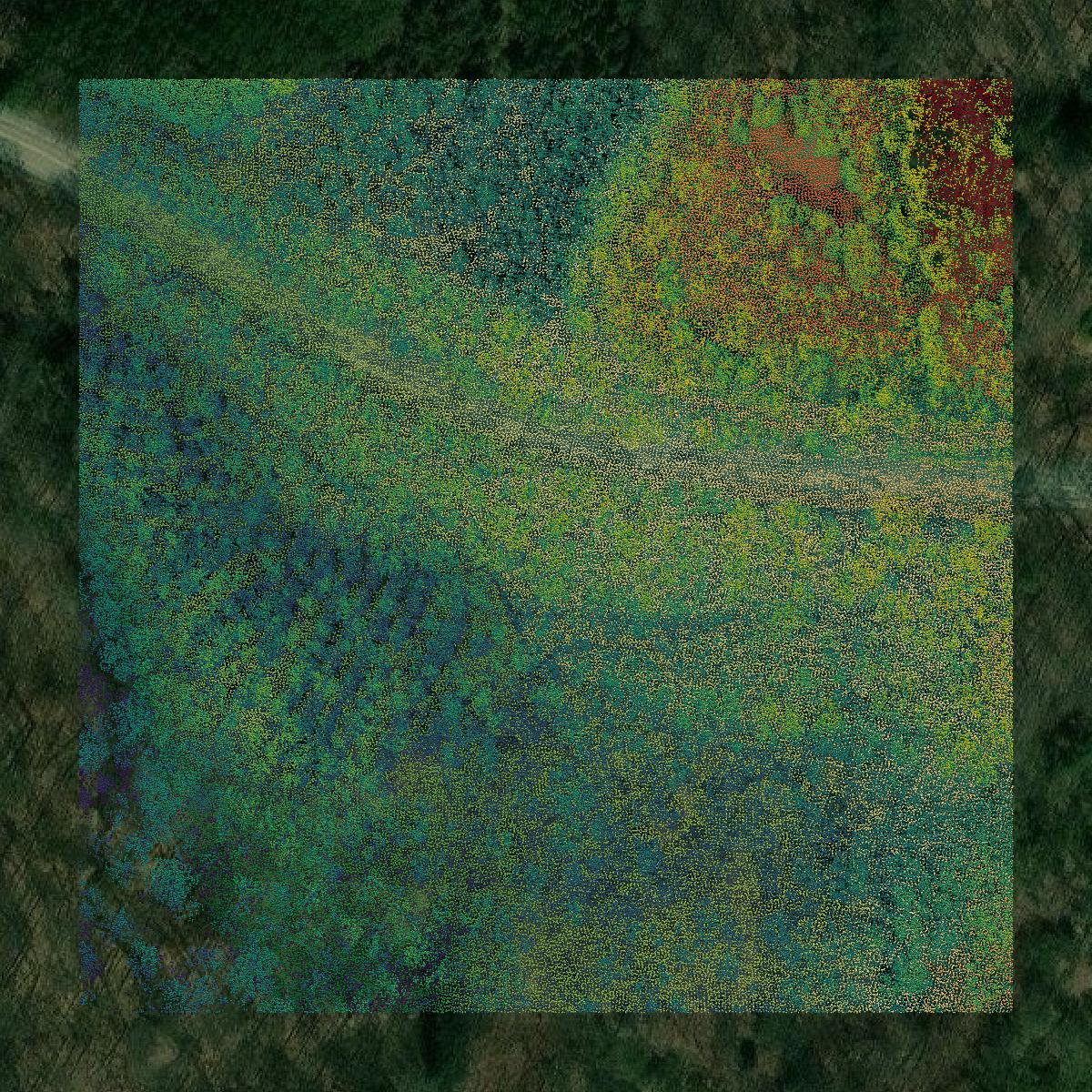 This image shows a LiDAR point cloud in Indiana County created using GIS data in Equator.