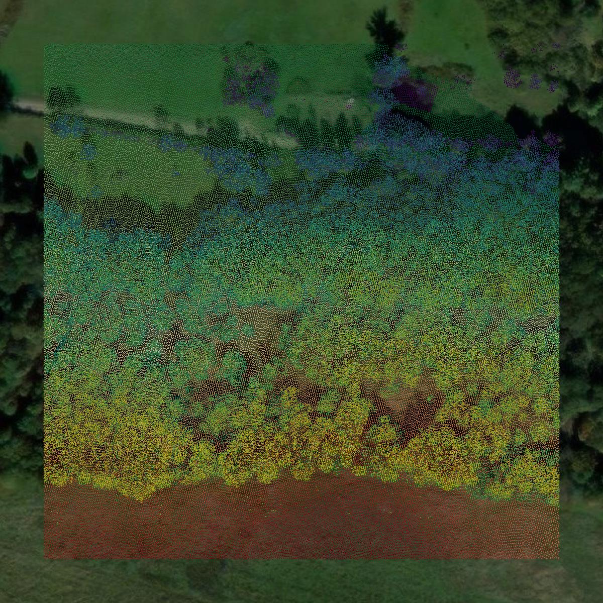 This image shows a LiDAR point cloud in Jefferson County created using GIS data in Equator.