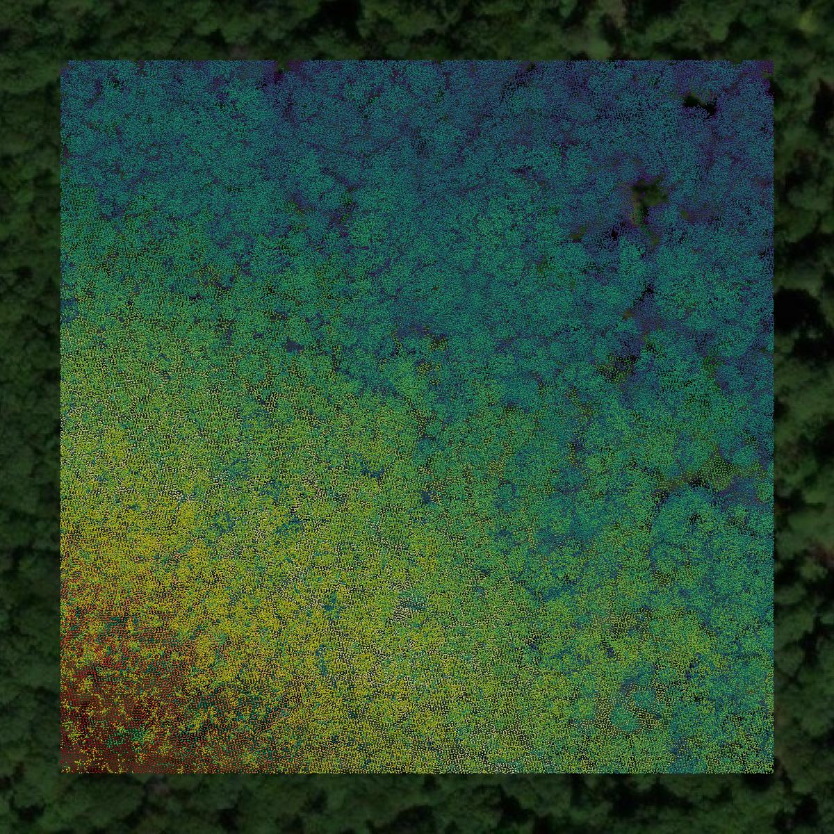 This image shows a LiDAR point cloud in Jefferson County created using GIS data in Equator.