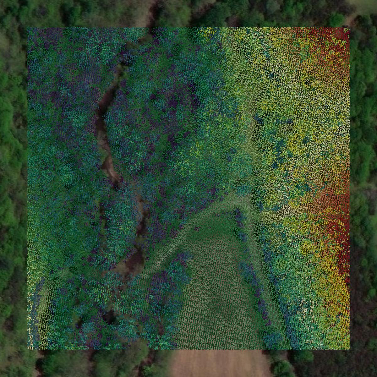 This image shows a LiDAR point cloud in Juniata County created using GIS data in Equator.