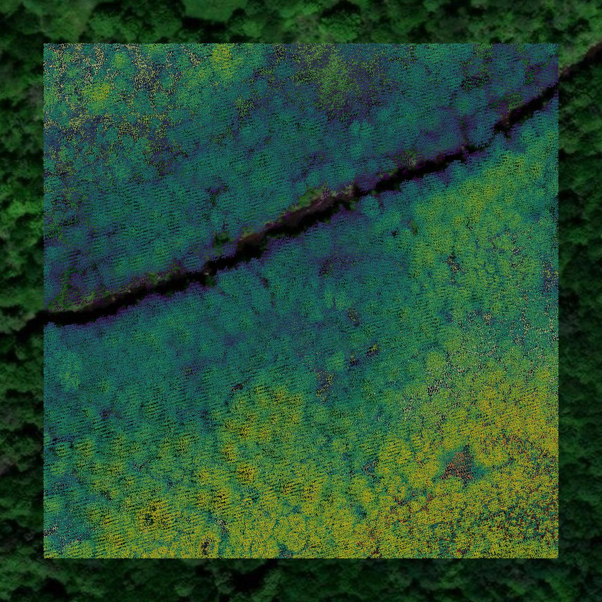 This image shows a LiDAR point cloud in Lackawanna County created using GIS data in Equator.