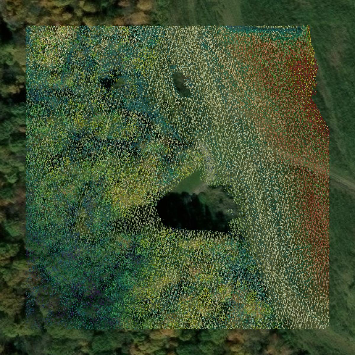 This image shows a LiDAR point cloud in Lawrence County created using GIS data in Equator.