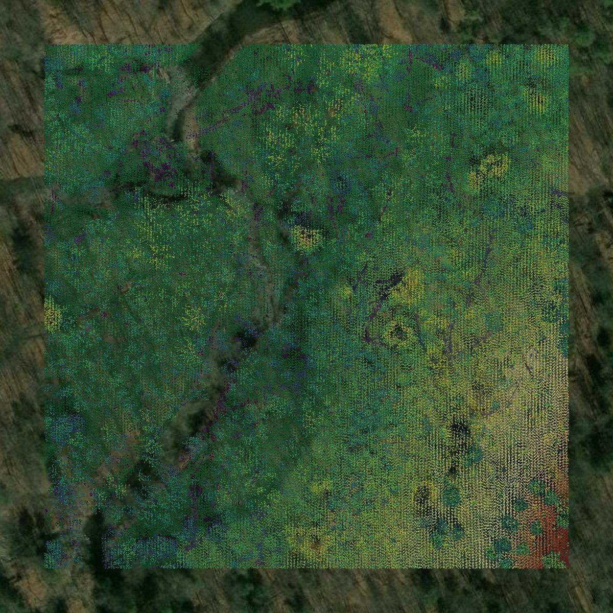 This image shows a LiDAR point cloud in Luzerne County created using GIS data in Equator.