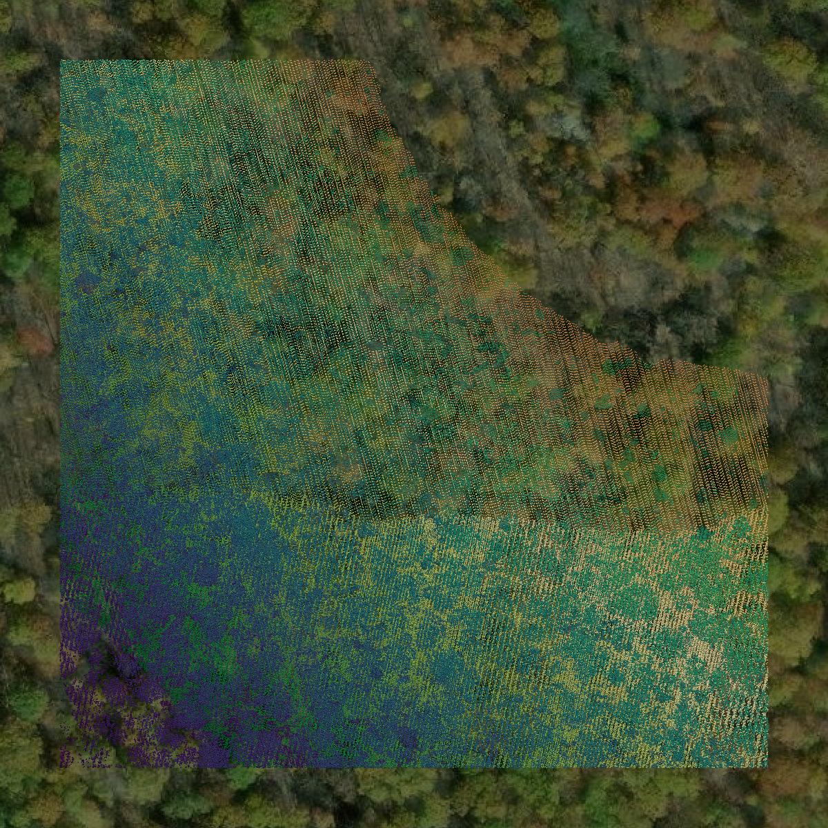 This image shows a LiDAR point cloud in Lycoming County created using GIS data in Equator.
