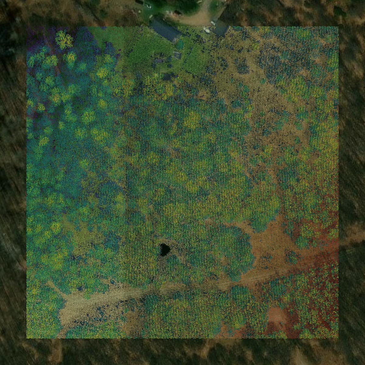 This image shows a LiDAR point cloud in McKean County created using GIS data in Equator.