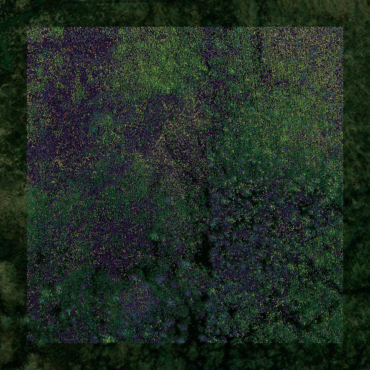 This image shows a LiDAR point cloud in Mercer County created using GIS data in Equator.