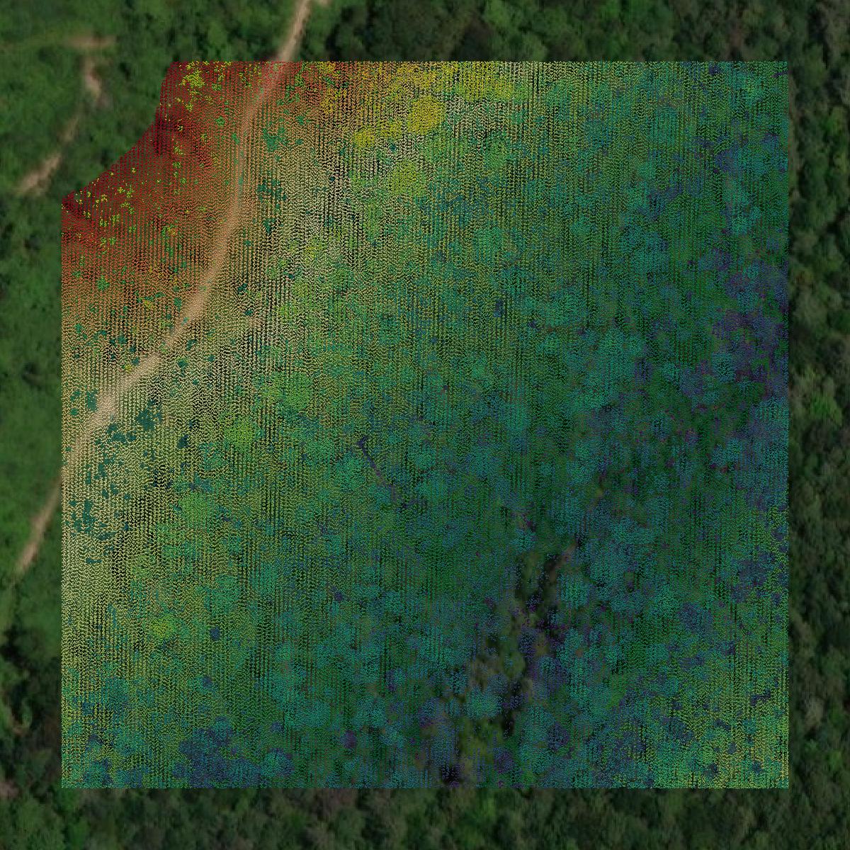 This image shows a LiDAR point cloud in Mifflin County created using GIS data in Equator.