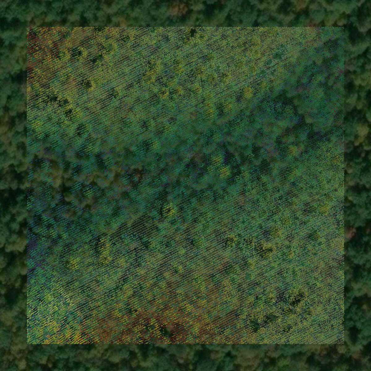 This image shows a LiDAR point cloud in Monroe County created using GIS data in Equator.