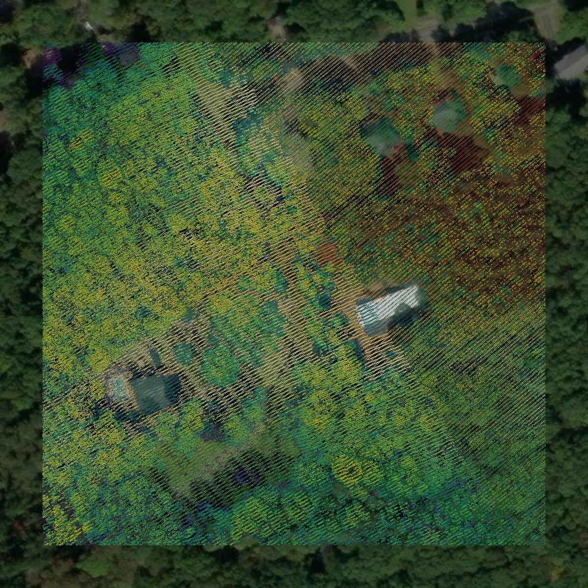 This image shows a LiDAR point cloud in Monroe County created using GIS data in Equator.