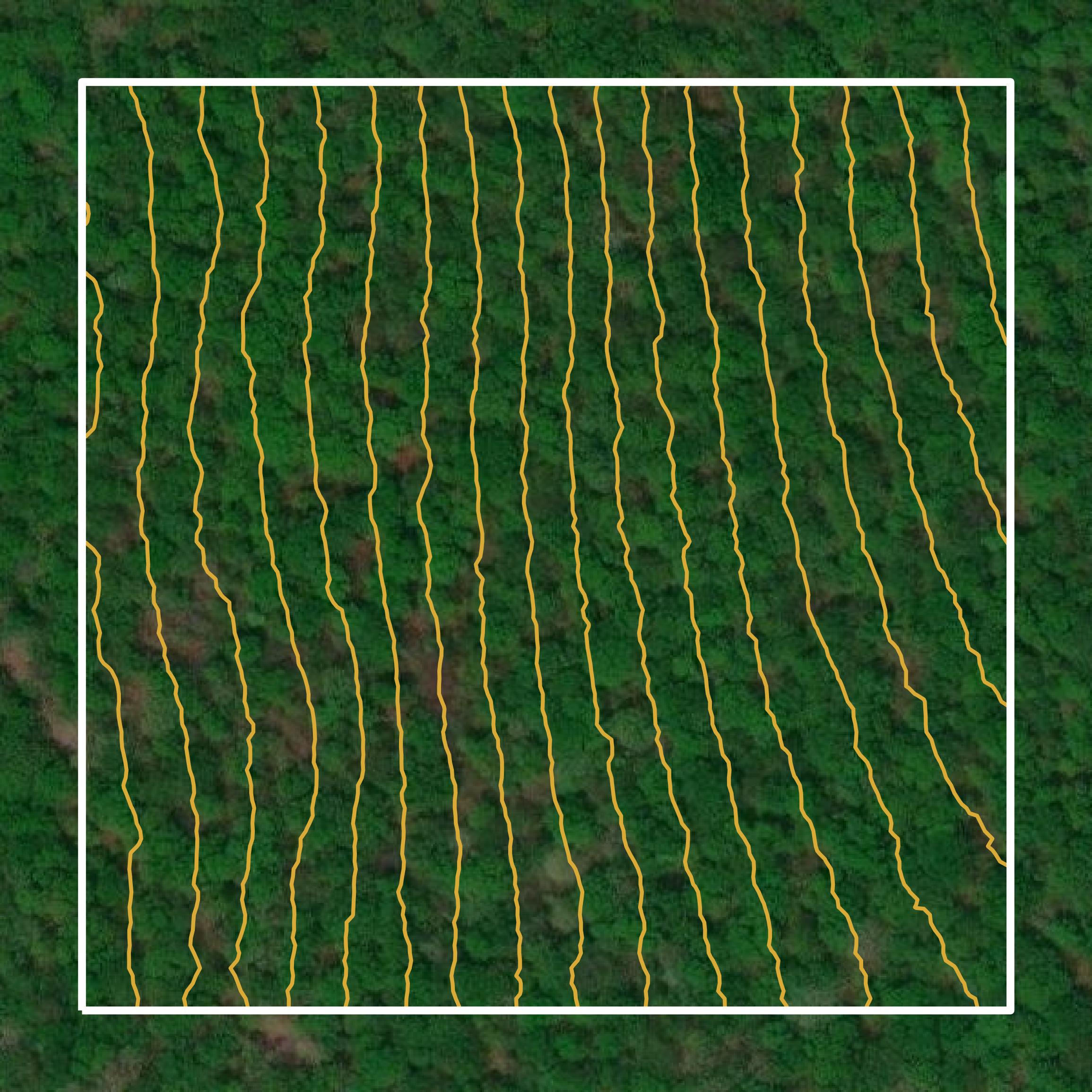 This image shows a contour map in Pike County created using GIS data in Equator.