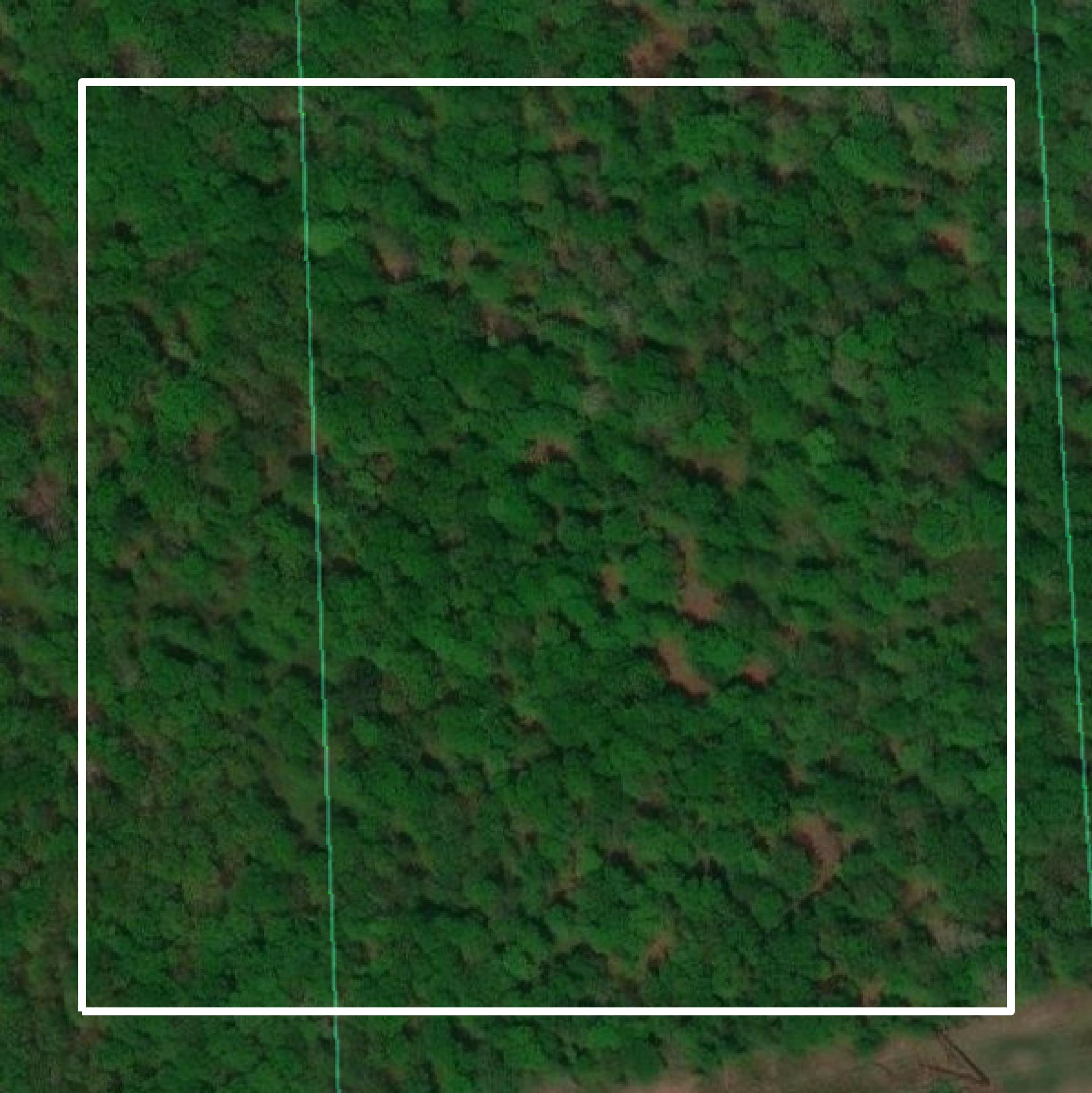 This image shows parcel and building data in Pike County created using GIS data in Equator.