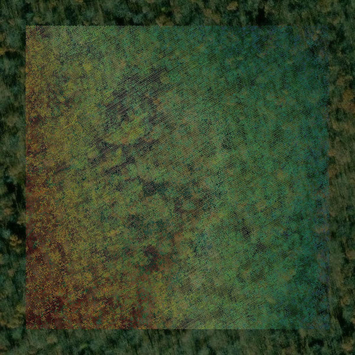 This image shows a LiDAR point cloud in Pike County created using GIS data in Equator.