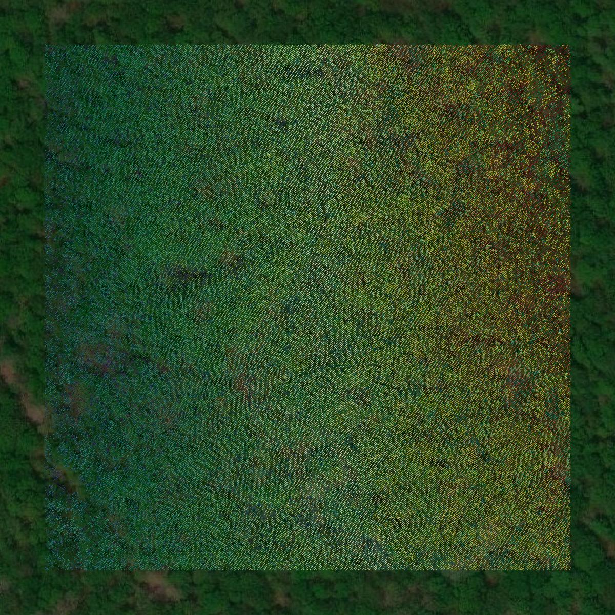 This image shows a LiDAR point cloud in Pike County created using GIS data in Equator.