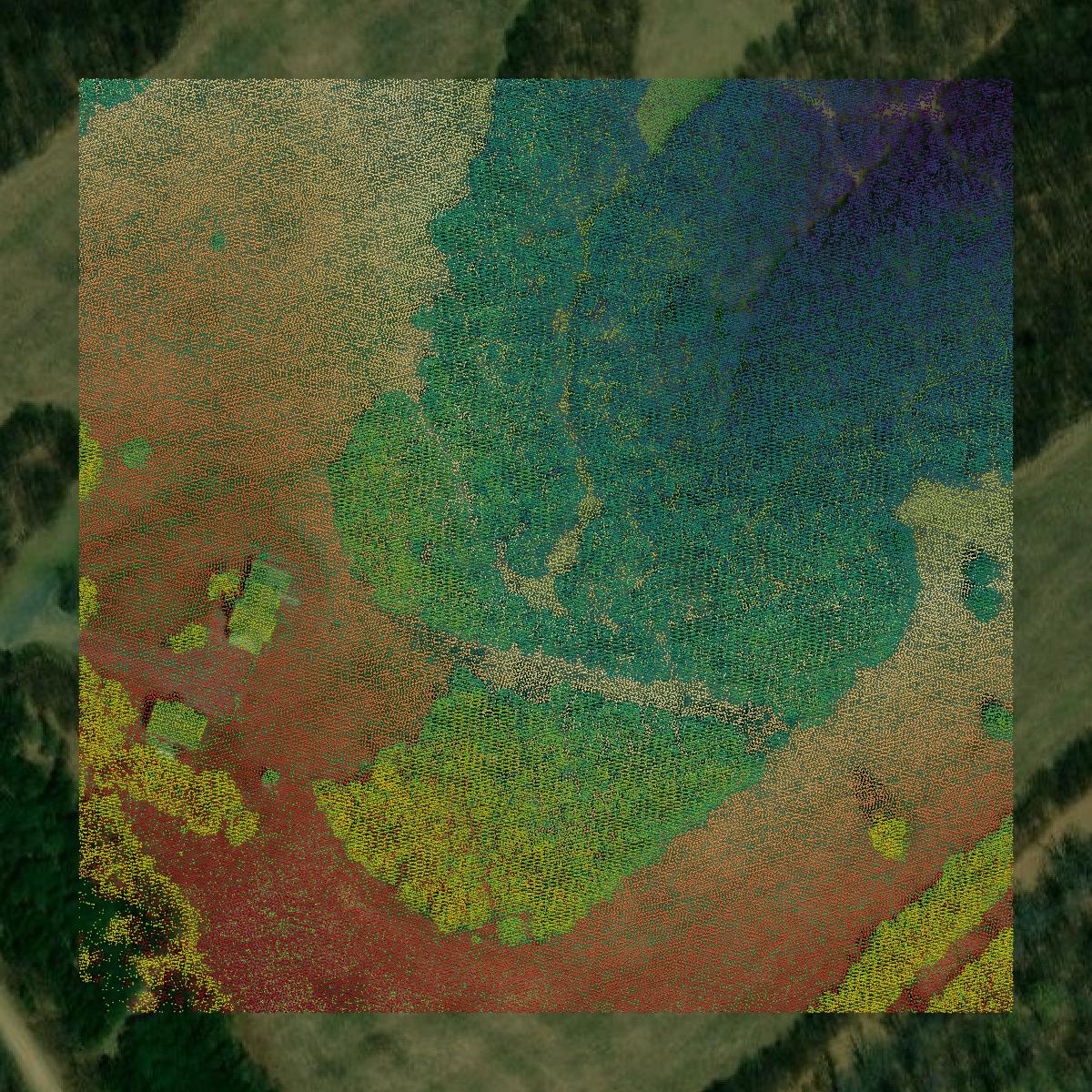 This image shows a LiDAR point cloud in Potter County created using GIS data in Equator.