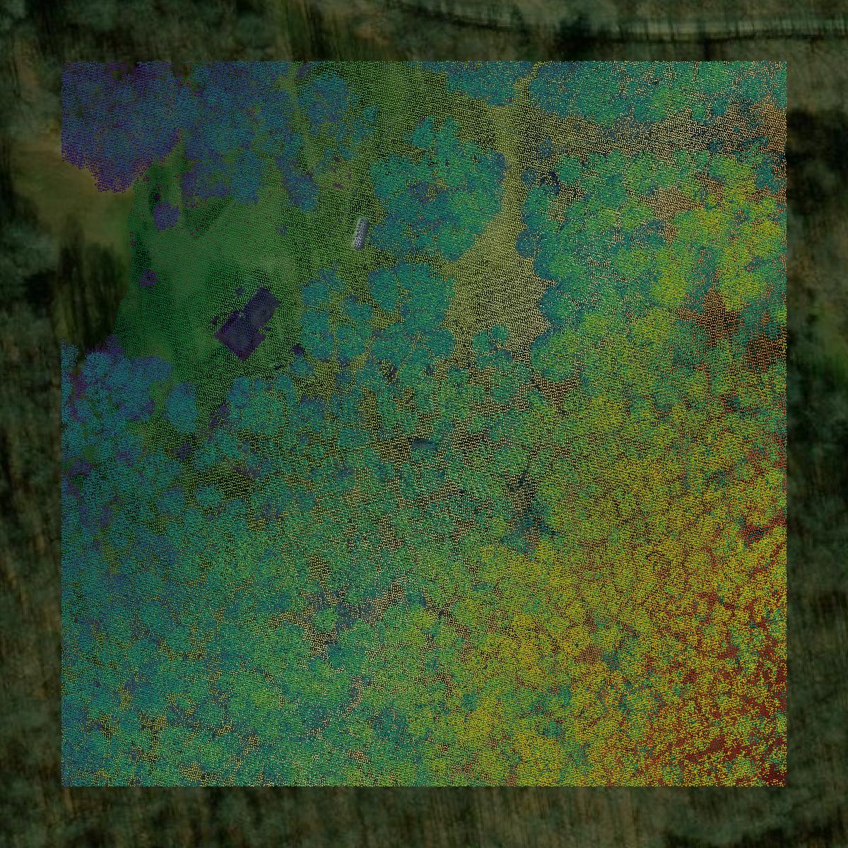 This image shows a LiDAR point cloud in Potter County created using GIS data in Equator.