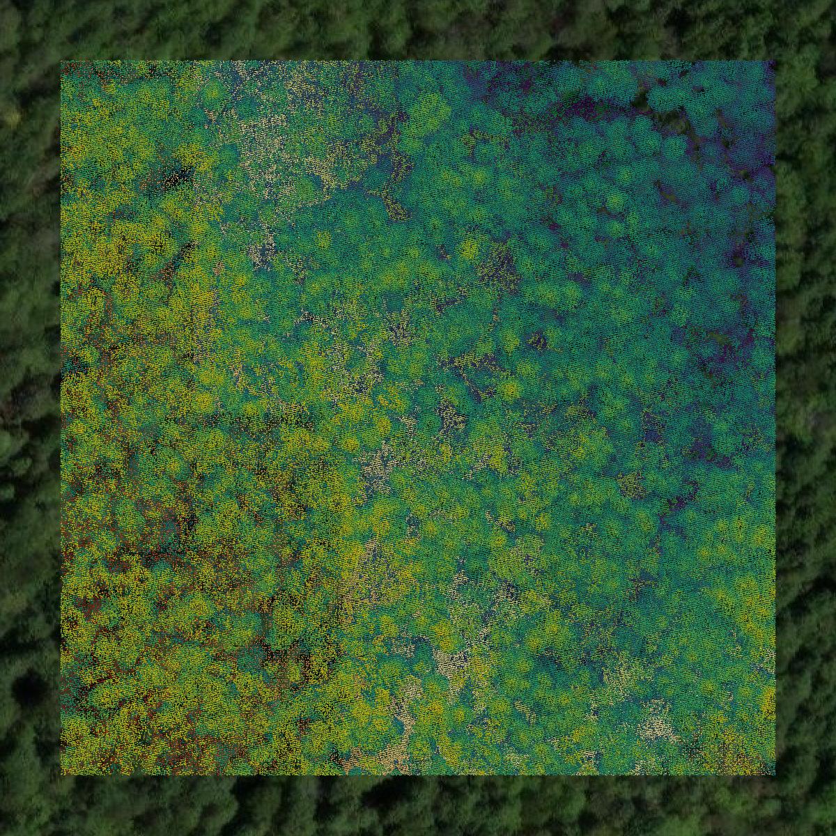 This image shows a LiDAR point cloud in Susquehanna County created using GIS data in Equator.