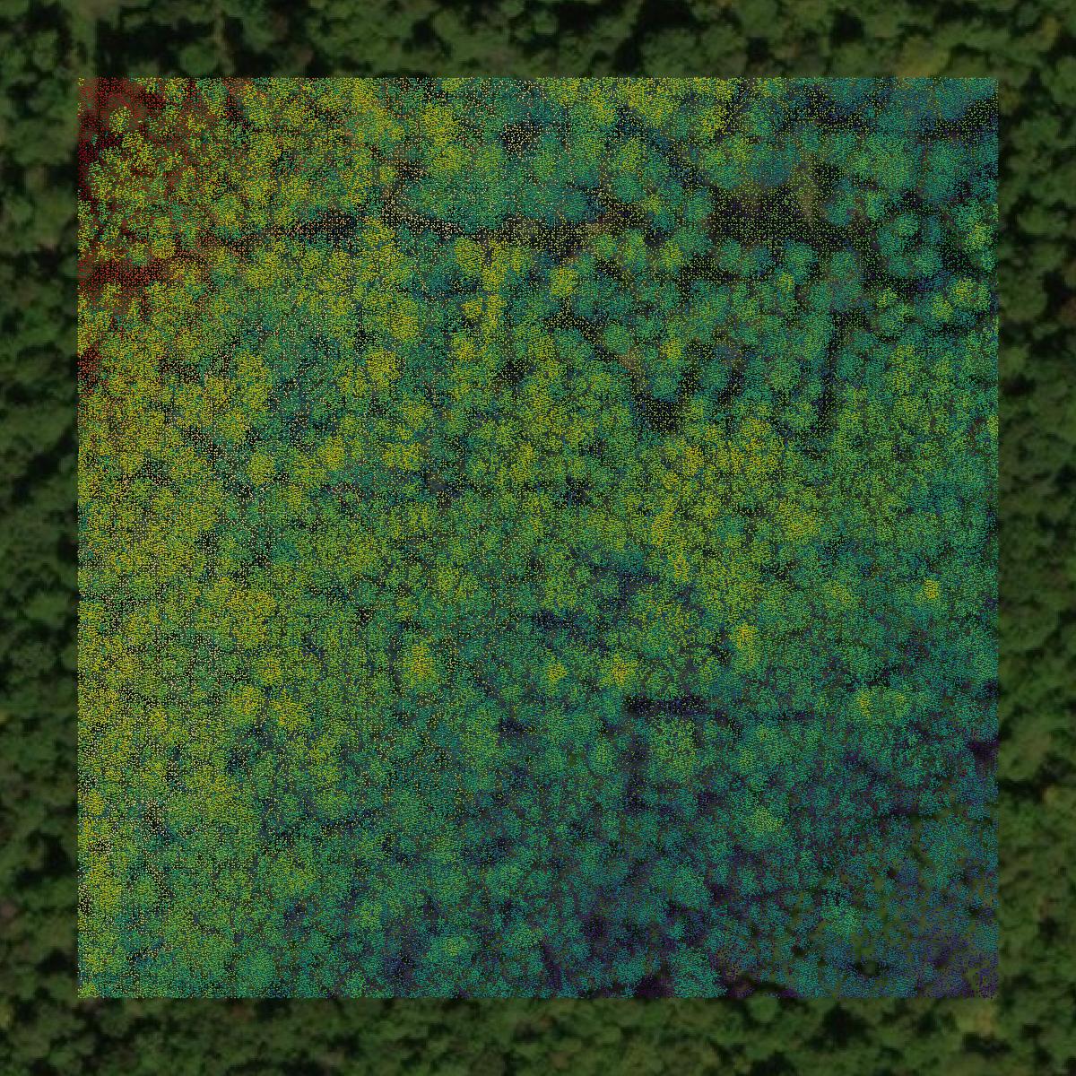 This image shows a LiDAR point cloud in Tioga County created using GIS data in Equator.