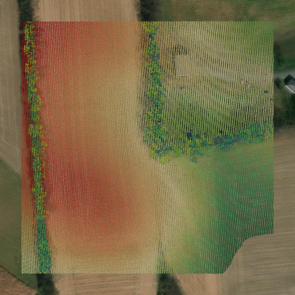 This image shows a LiDAR point cloud in Union County created using GIS data in Equator.