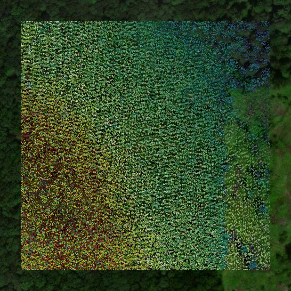 This image shows a LiDAR point cloud in Venango County created using GIS data in Equator.