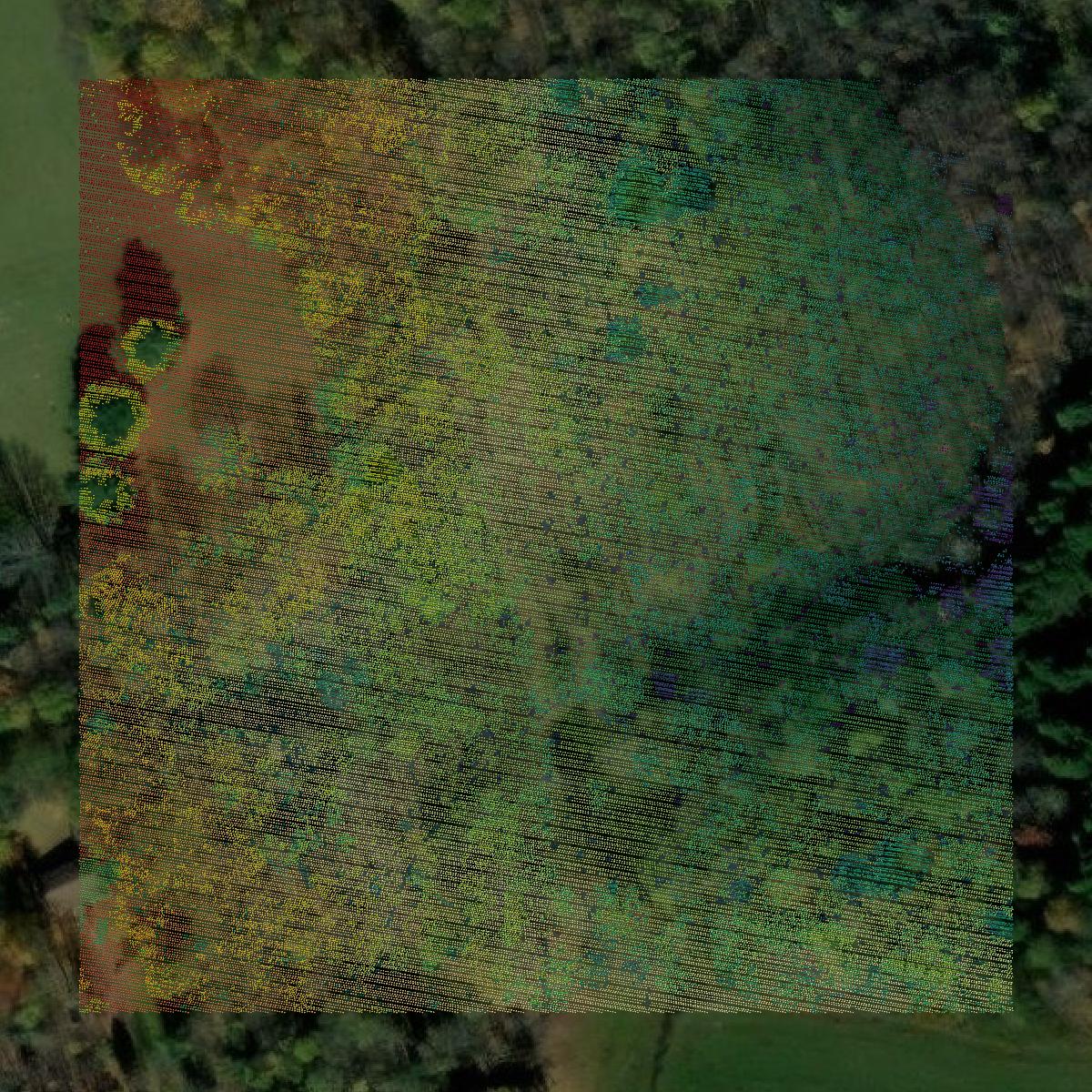 This image shows a LiDAR point cloud in Warren County created using GIS data in Equator.