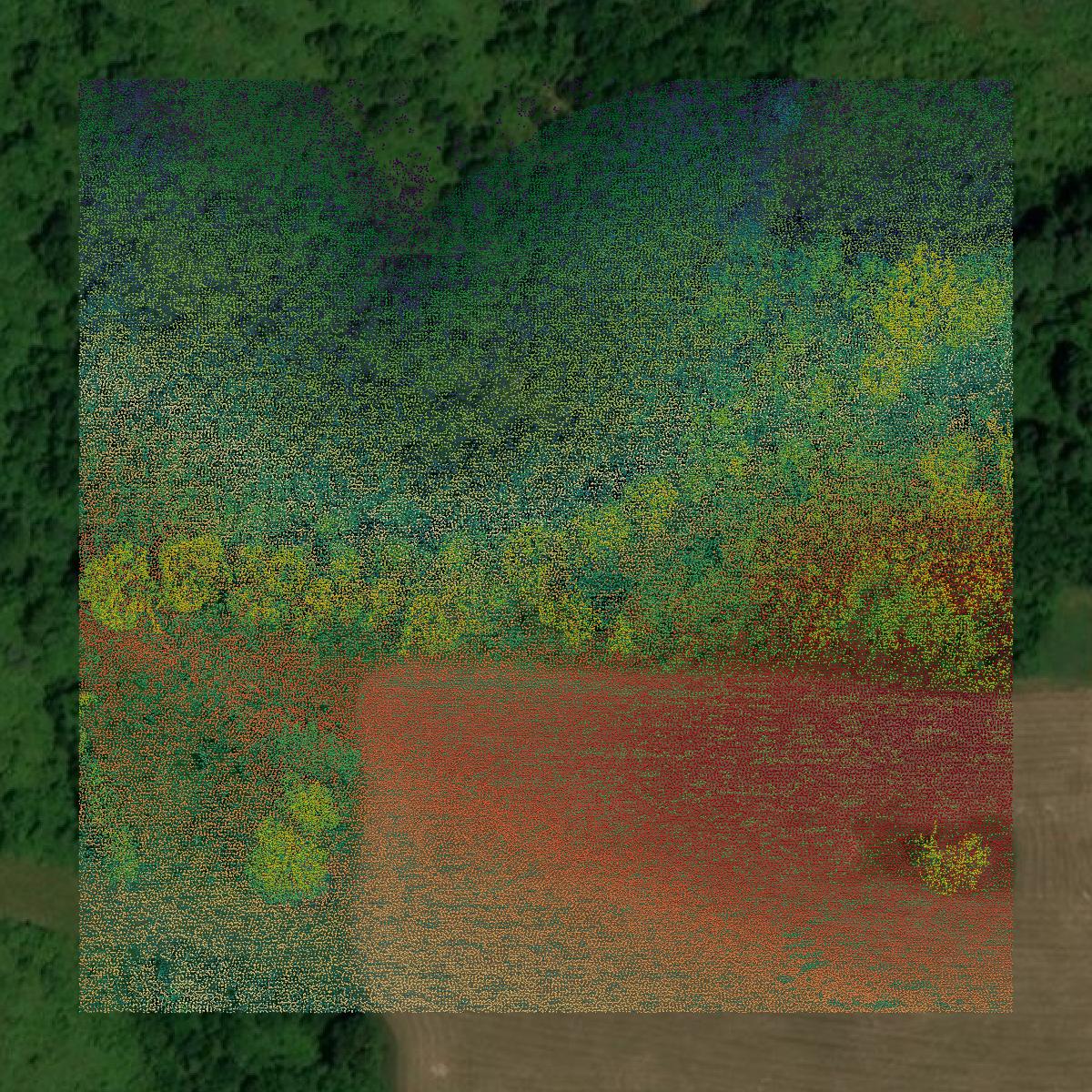 This image shows a LiDAR point cloud in Washington County created using GIS data in Equator.