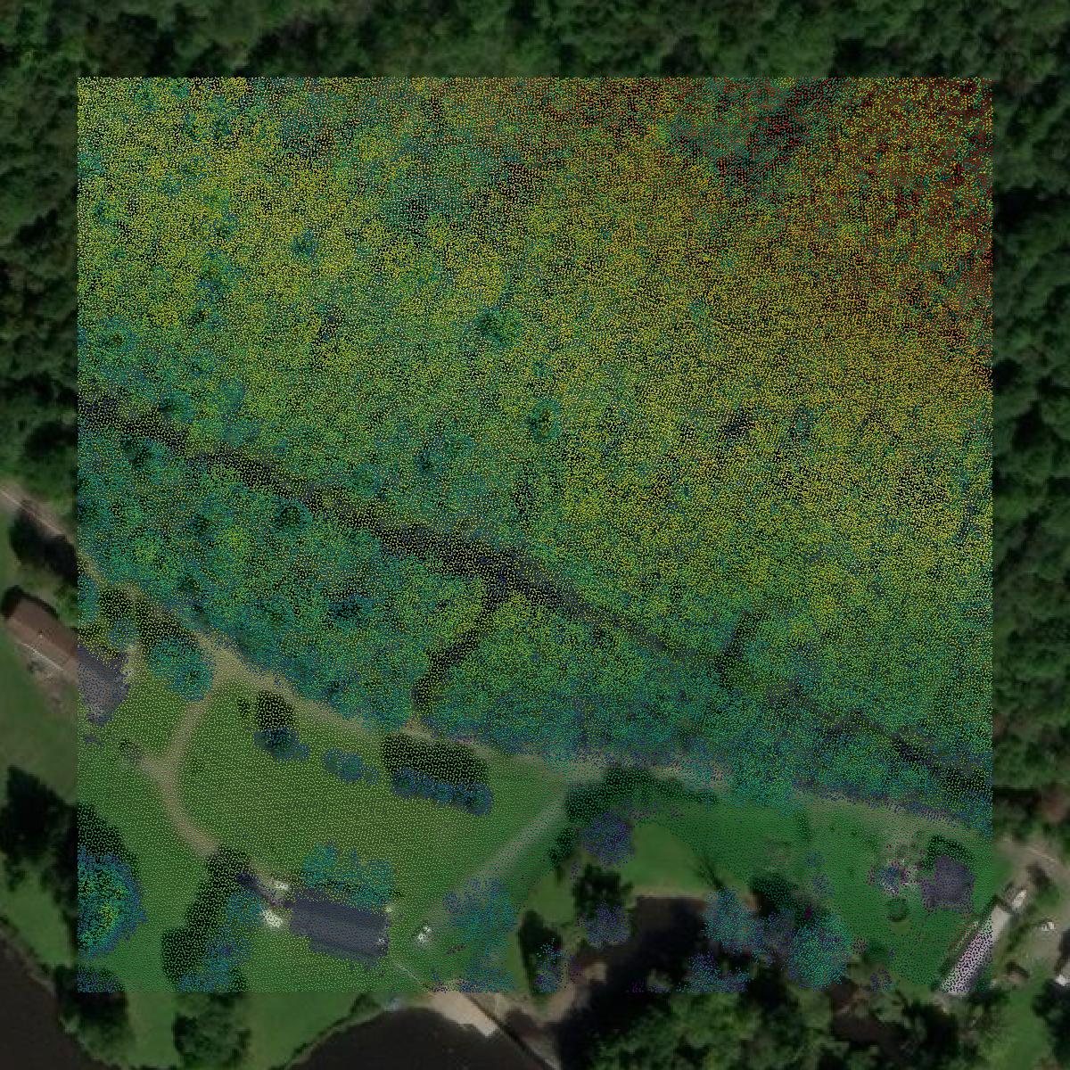 This image shows a LiDAR point cloud in Wayne County created using GIS data in Equator.