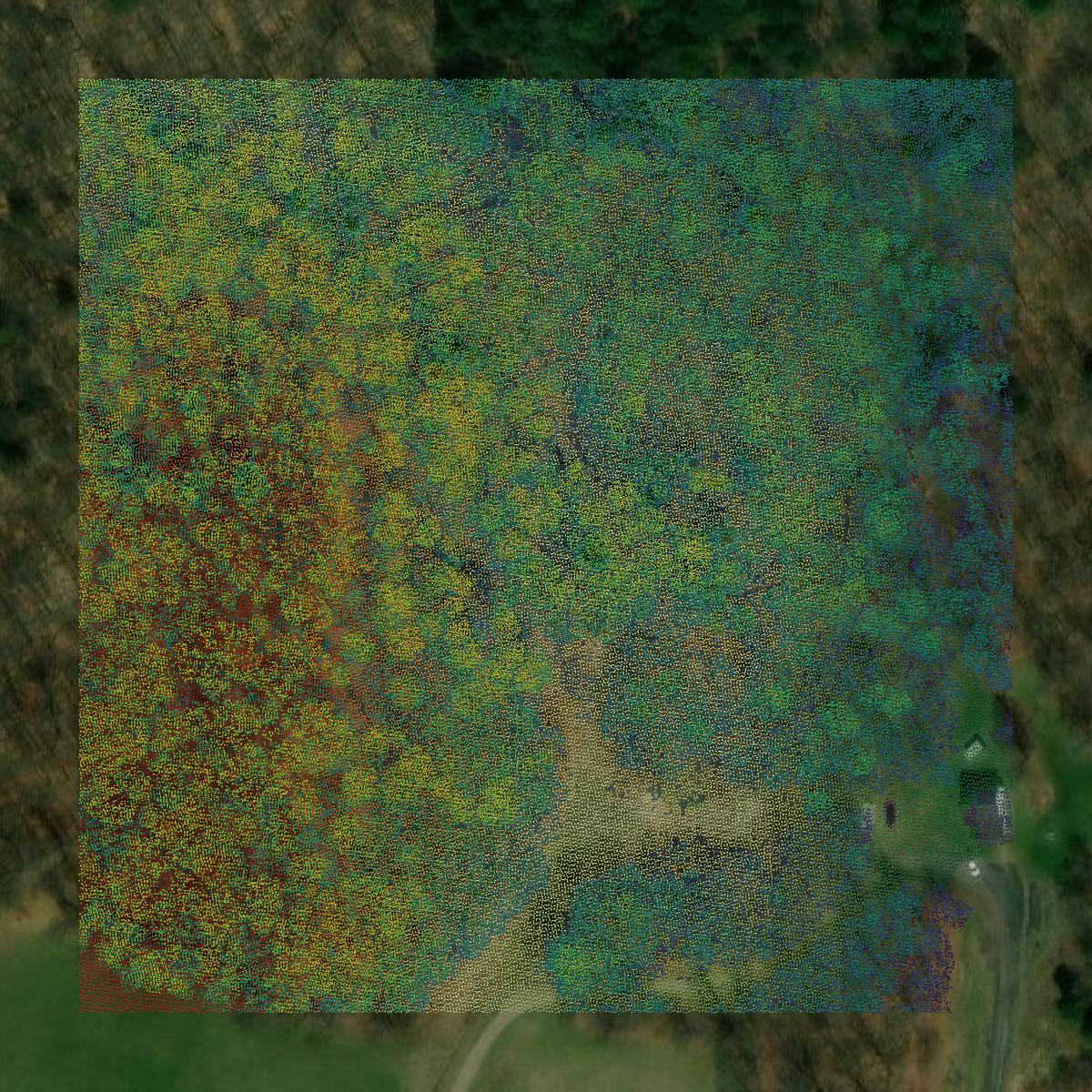 This image shows a LiDAR point cloud in Wayne County created using GIS data in Equator.